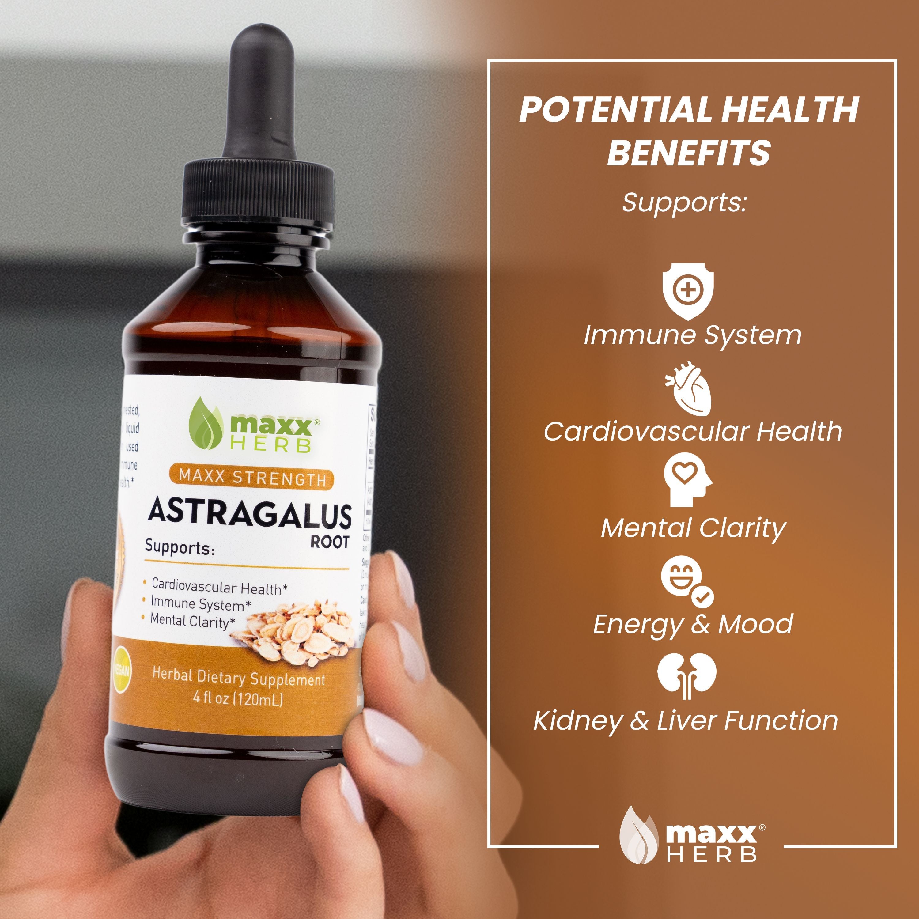 Astragalus Root Extract (4oz) 60 Servings