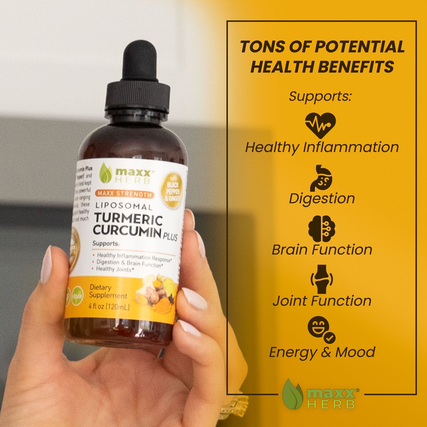 Turmeric Curcumin Plus - Liposomal Extract with Black Pepper & Ginger - 4oz (60 Servings)